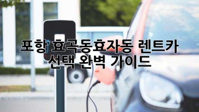포항 효곡동/효자동 렌트카 선택 완벽 가이드